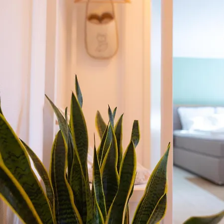 Appartamento Mami - Terravista *